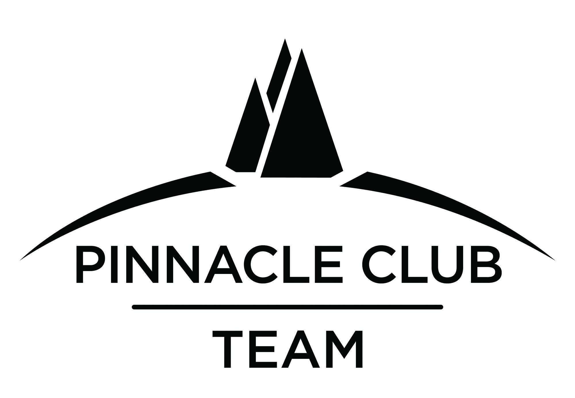 Pinnacle Team Award
